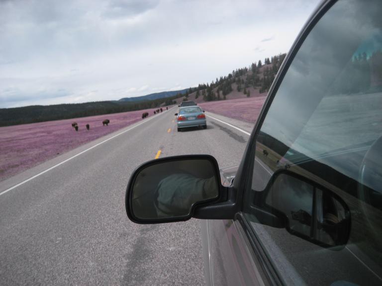 Yellowstone 930.JPG