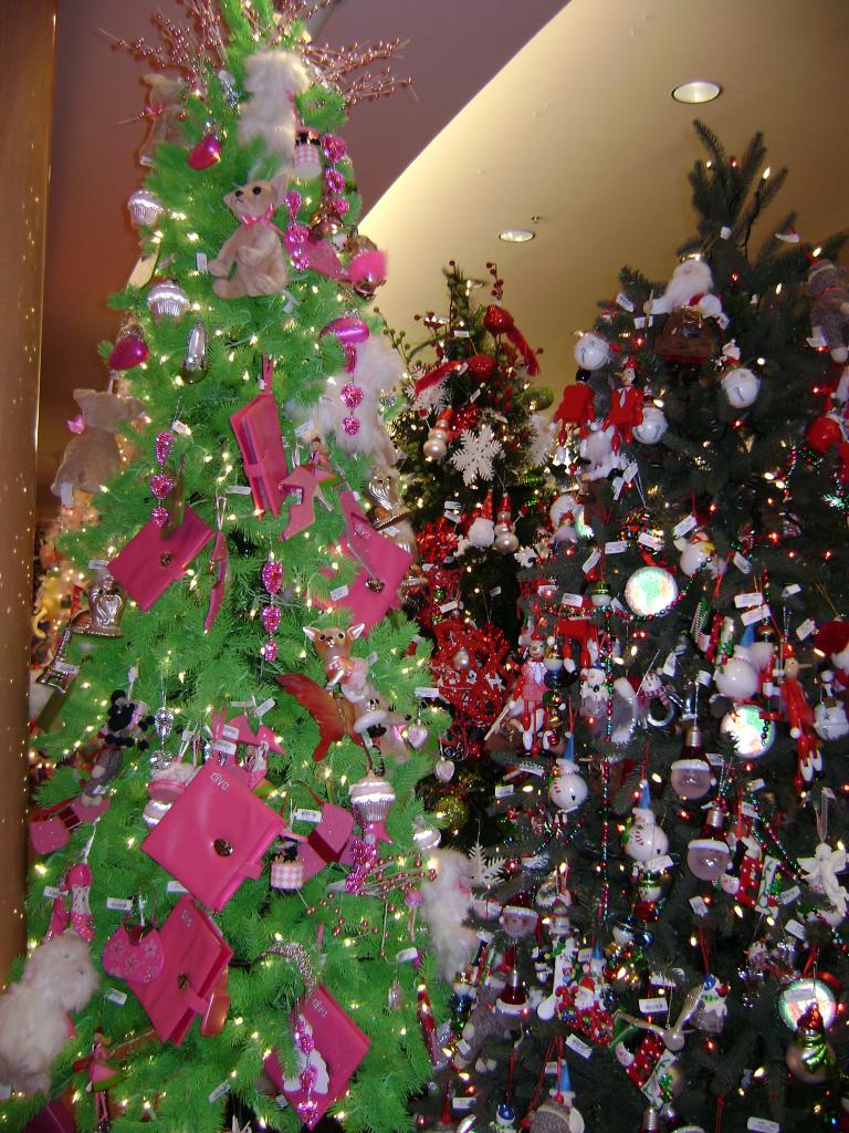 DSC02202.JPG