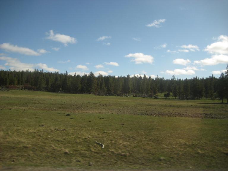 Yellowstone 225.JPG