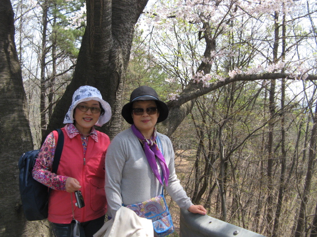 jeju 542.jpg