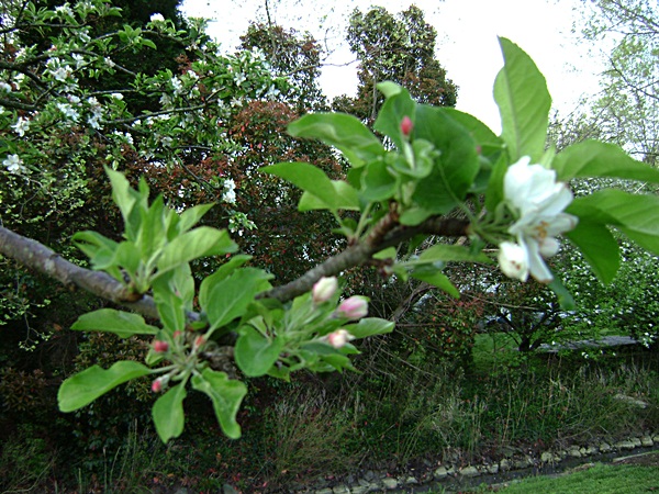 b-DSC03574.JPG