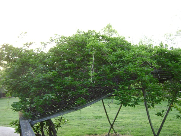 b-DSC03580.JPG