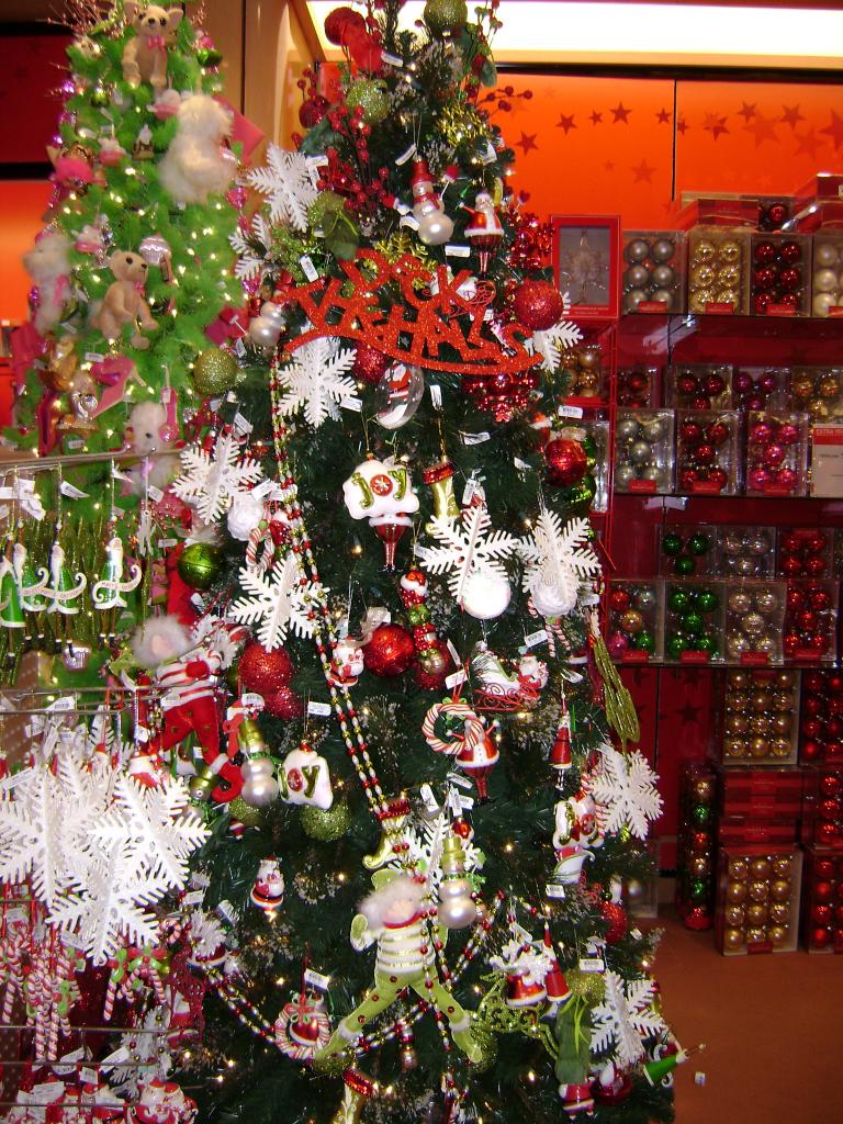 DSC02203.JPG