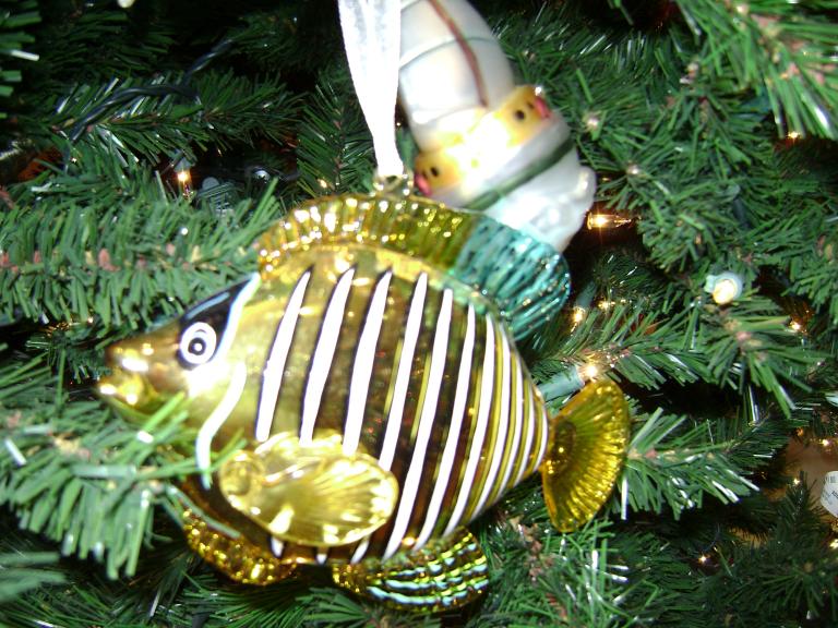 DSC02244.JPG