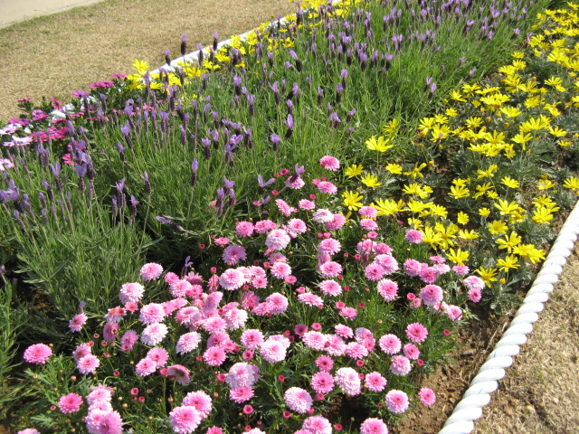 namyangju 095.jpg