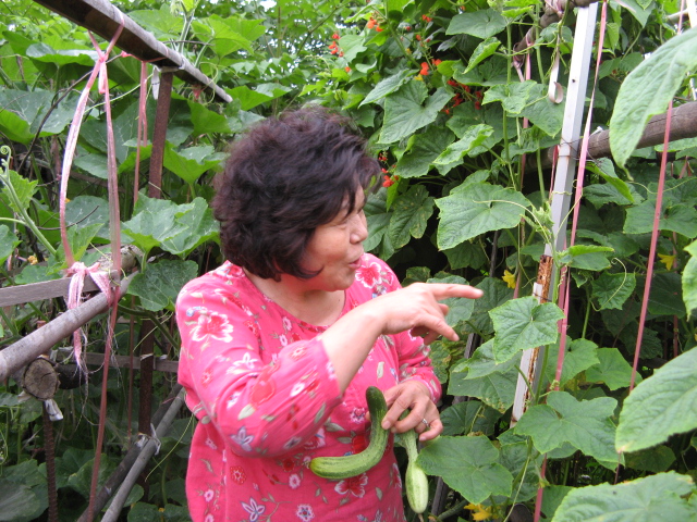 2007 6~7 129.jpg