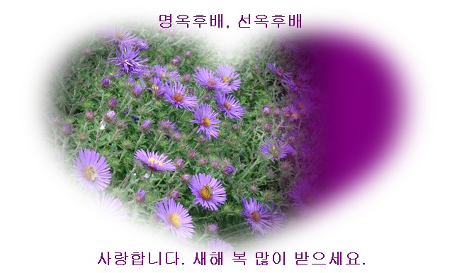 a-DSC01775.JPG
