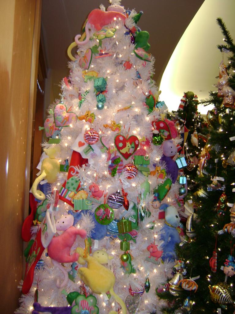 DSC02205.JPG