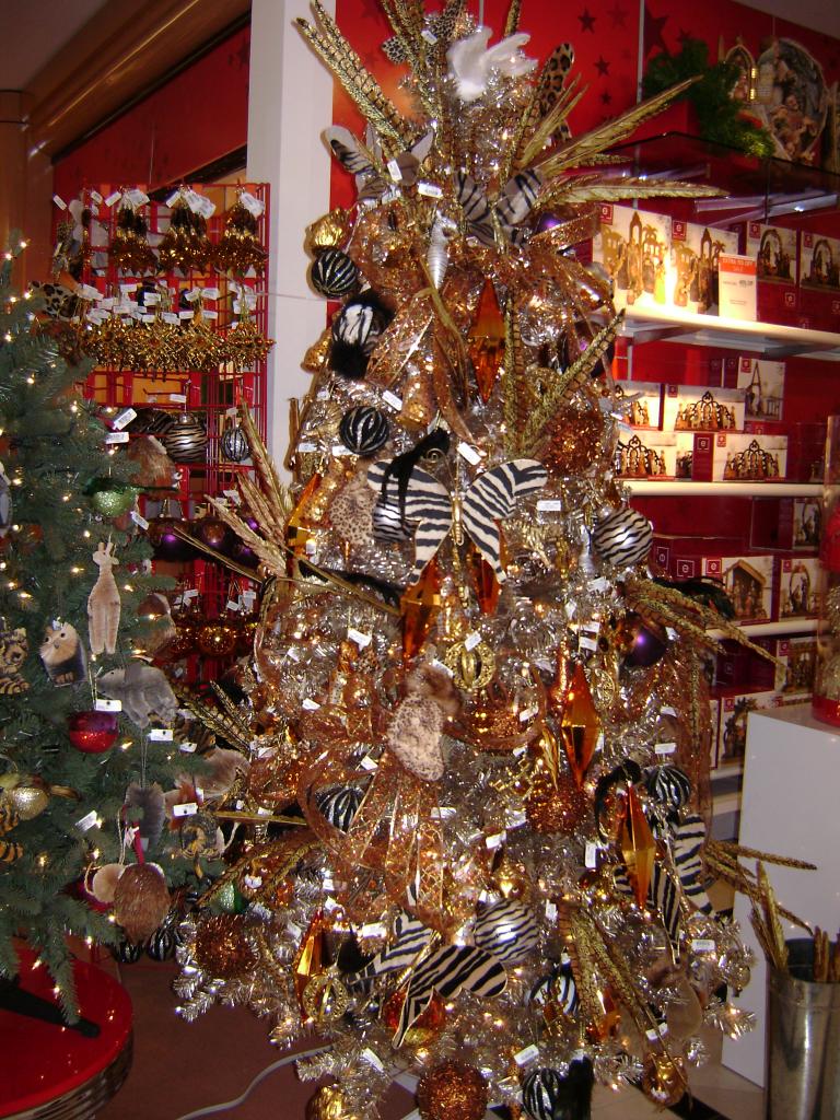 DSC02218.JPG