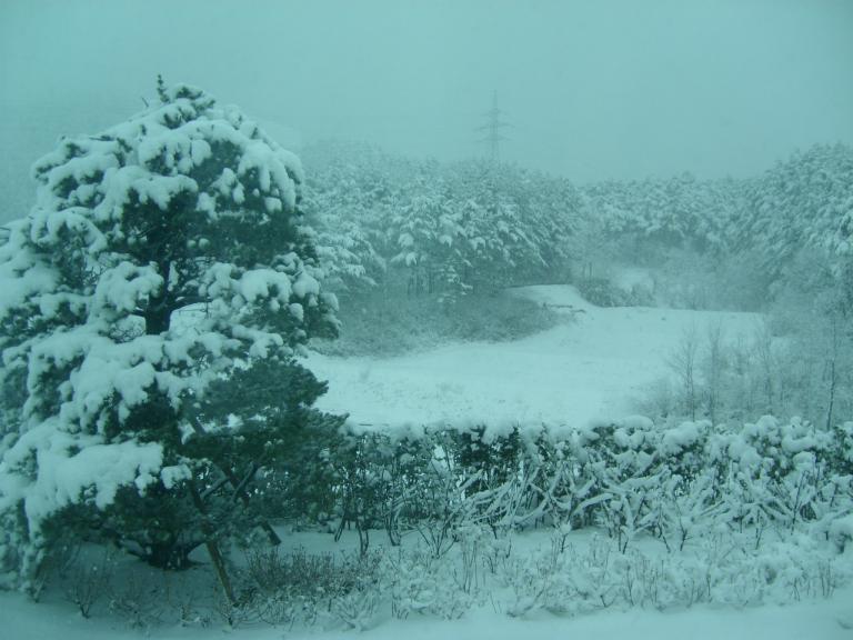 사진 030.jpg