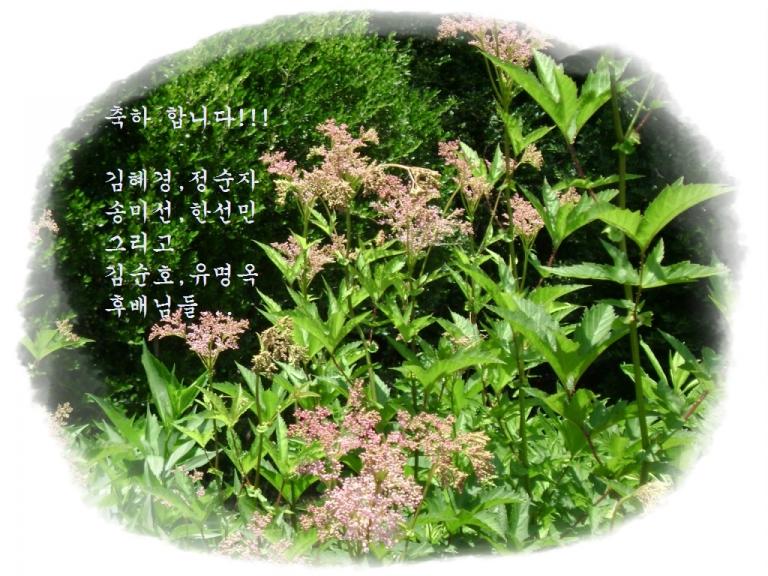 ab-DSC00815.JPG