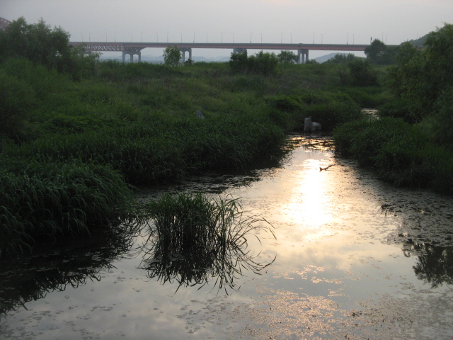 soomok 236.jpg