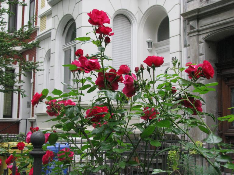 bonn,보름달 041.jpg