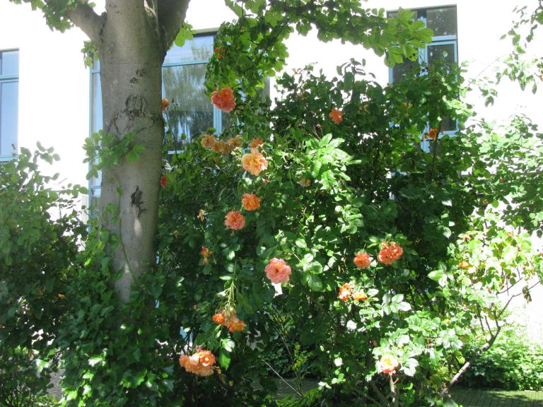 bonn,보름달 105.jpg