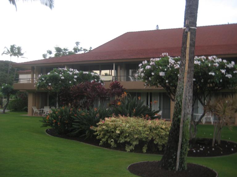 Hawaii 459.JPG