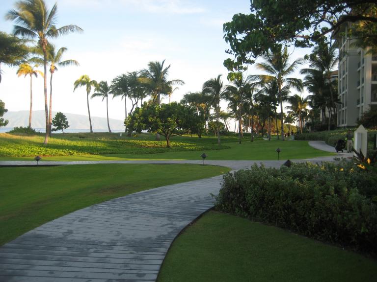 Hawaii 469.JPG