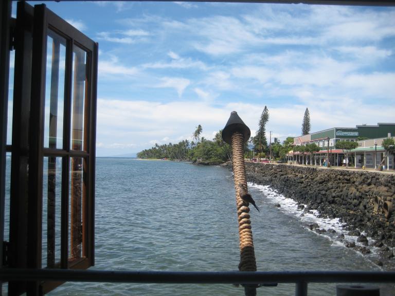 Hawaii 483.JPG