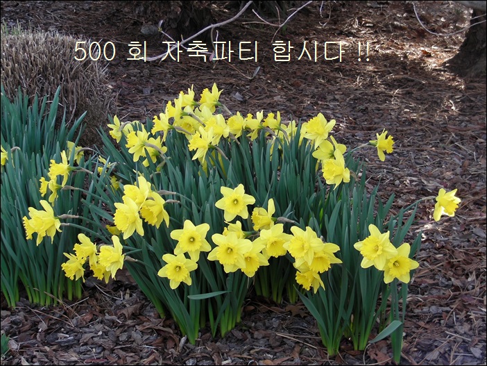 a-SANY0229.JPG