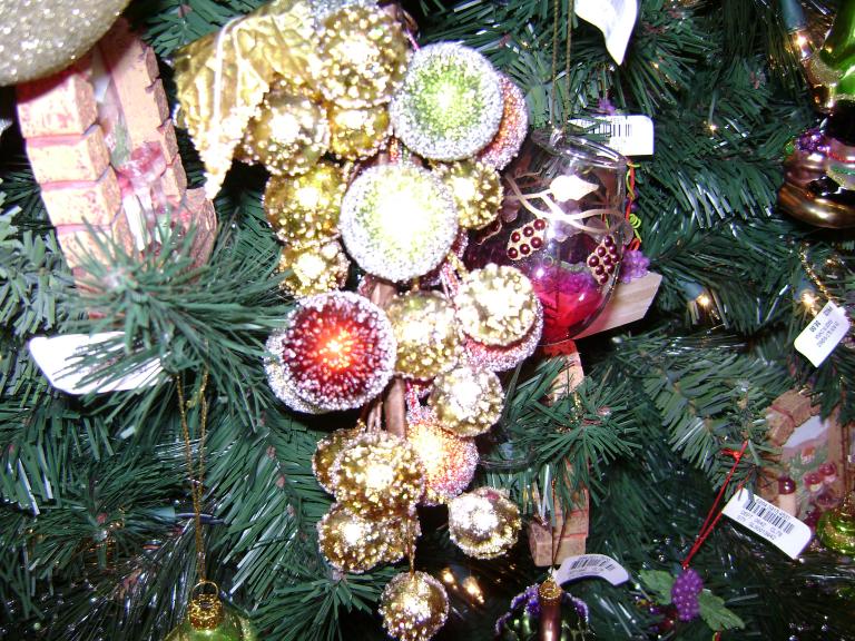 DSC02261.JPG