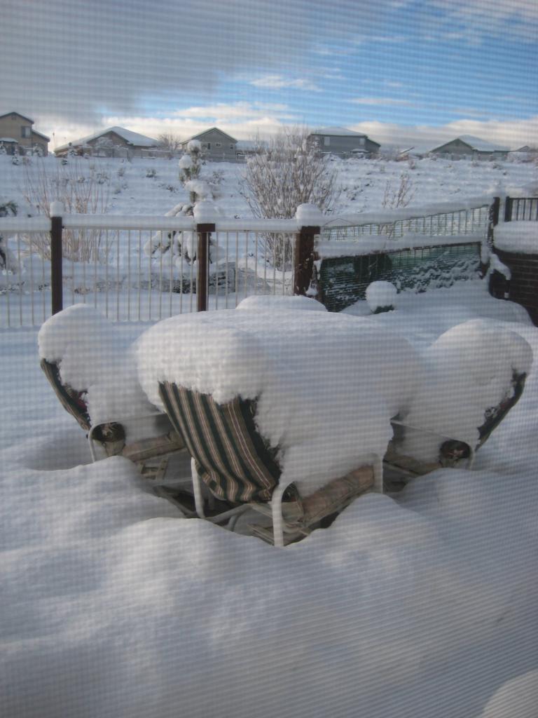 morningsnow 002.JPG
