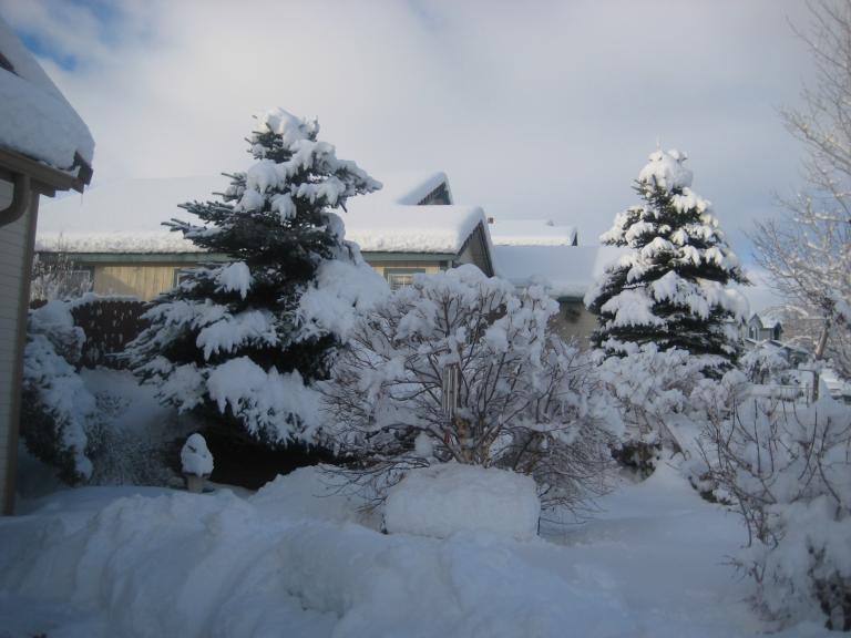 morningsnow 009.JPG