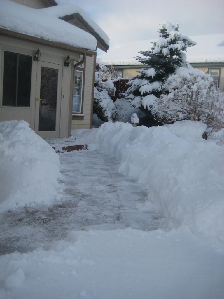 morningsnow 020.JPG