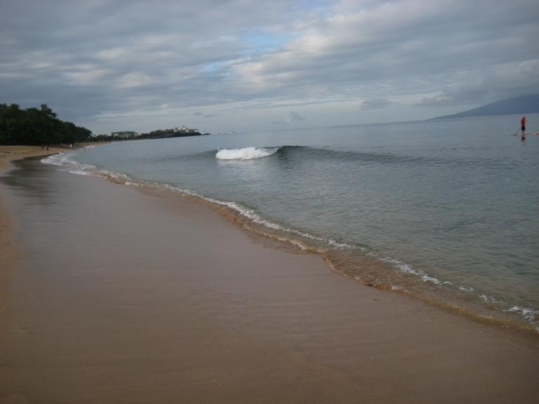Hawaii 152.JPG