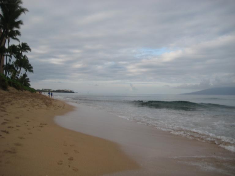 Hawaii 161.JPG
