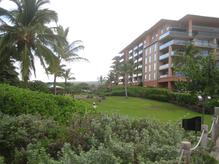 Hawaii 169.JPG