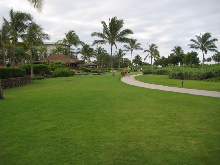 Hawaii 171.JPG