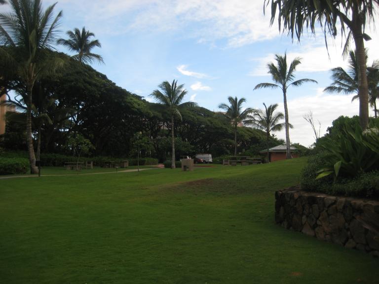 Hawaii 172.JPG