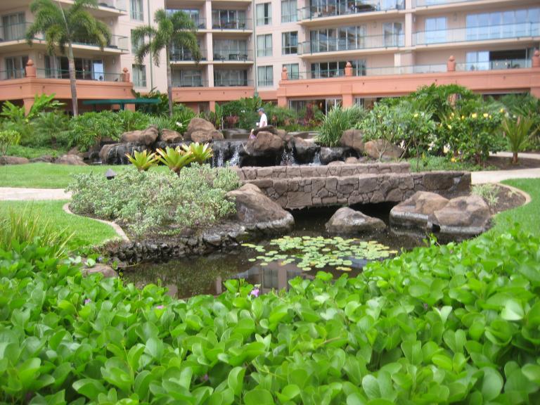 Hawaii 184.JPG