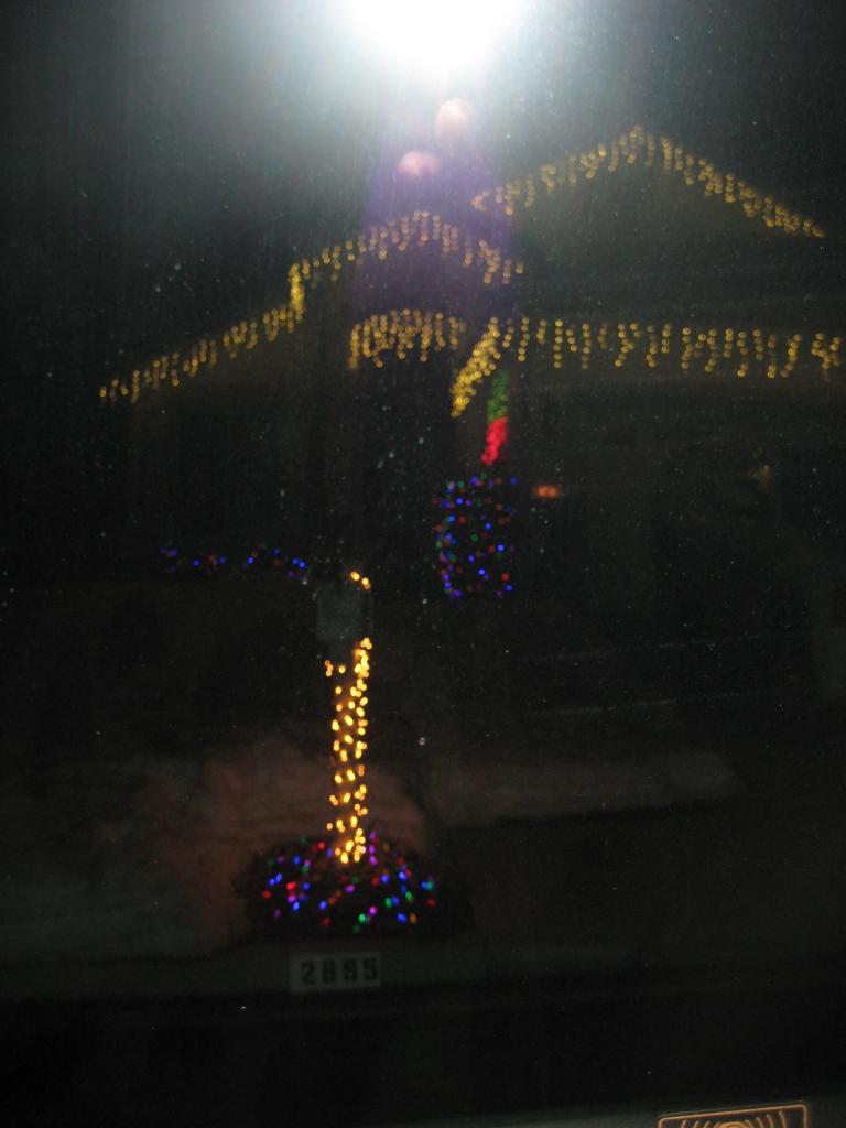 xmaslight 013.JPG