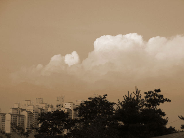 jaeyun(m.mass) 001_copy.jpg