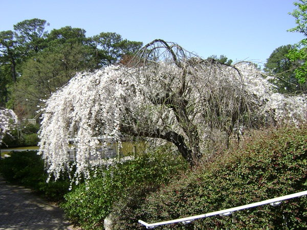 b-DSC03293.JPG