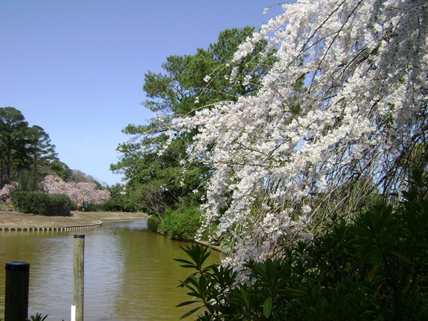 b-DSC03295.JPG