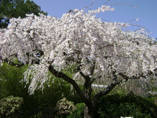 b-DSC03301.JPG