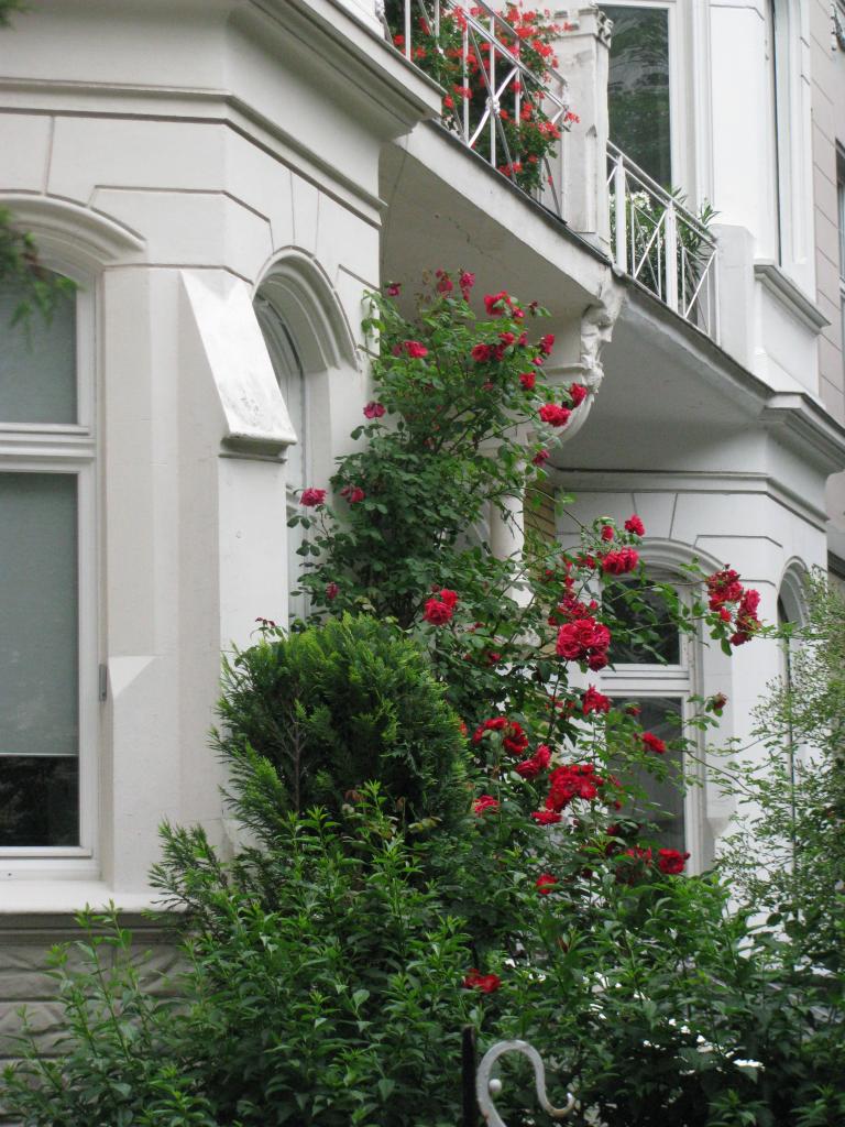 bonn,보름달 049.jpg