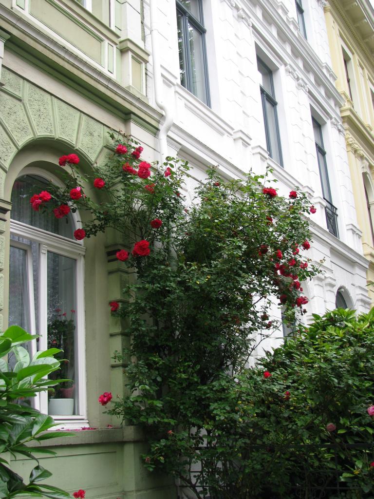 bonn,보름달 052.jpg