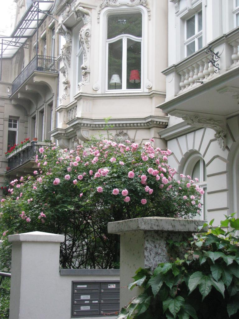 bonn,보름달 060.jpg