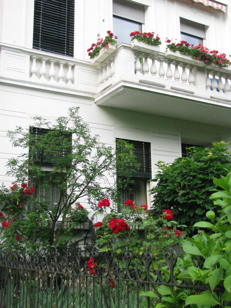 bonn,보름달 090.jpg