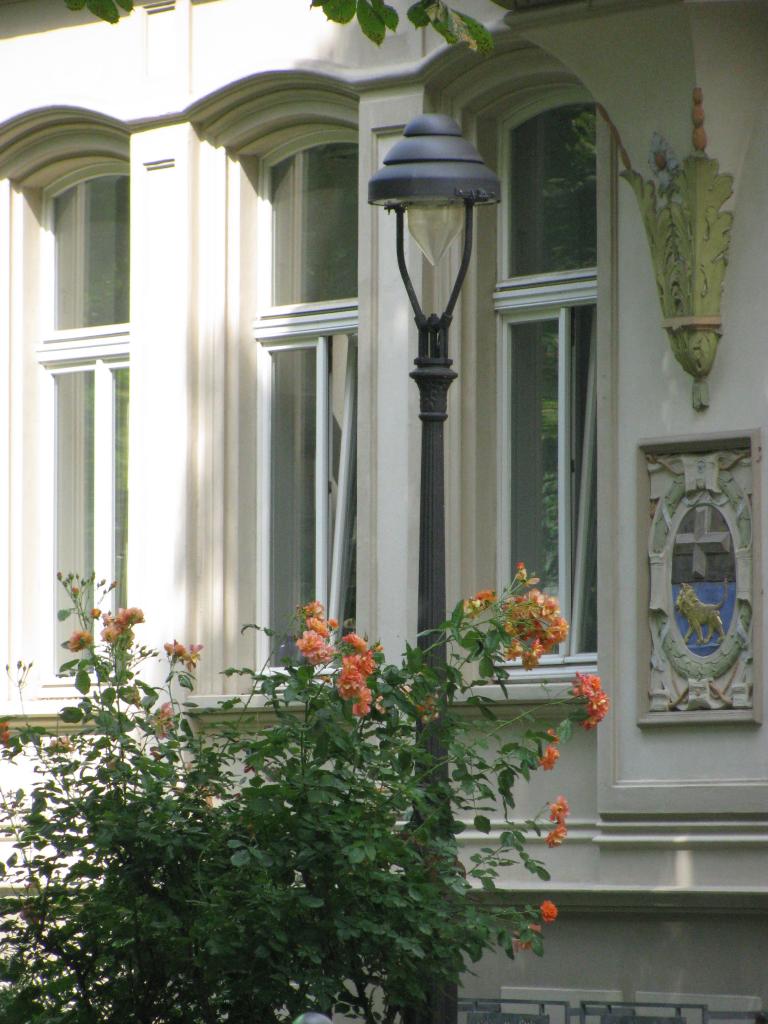 bonn,보름달 142.jpg