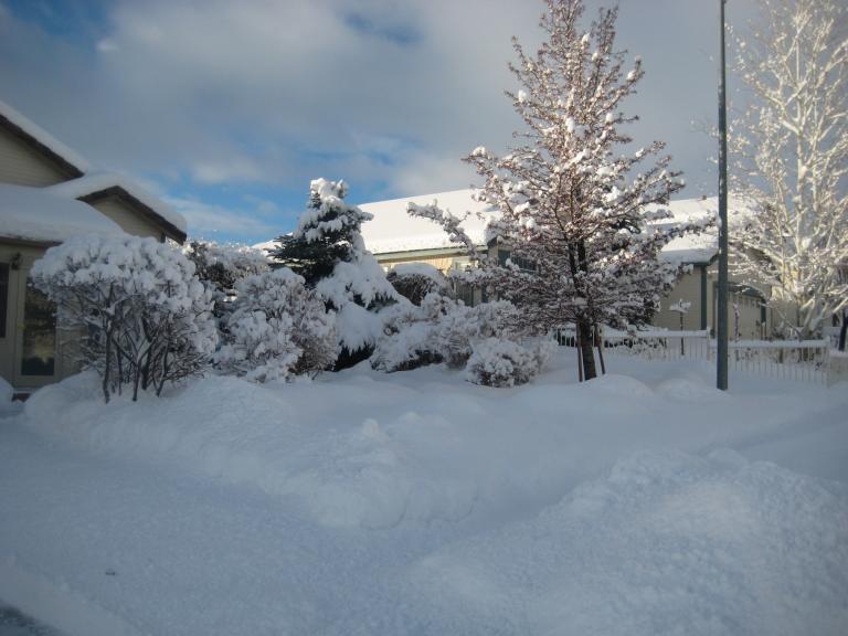 morningsnow 018.JPG