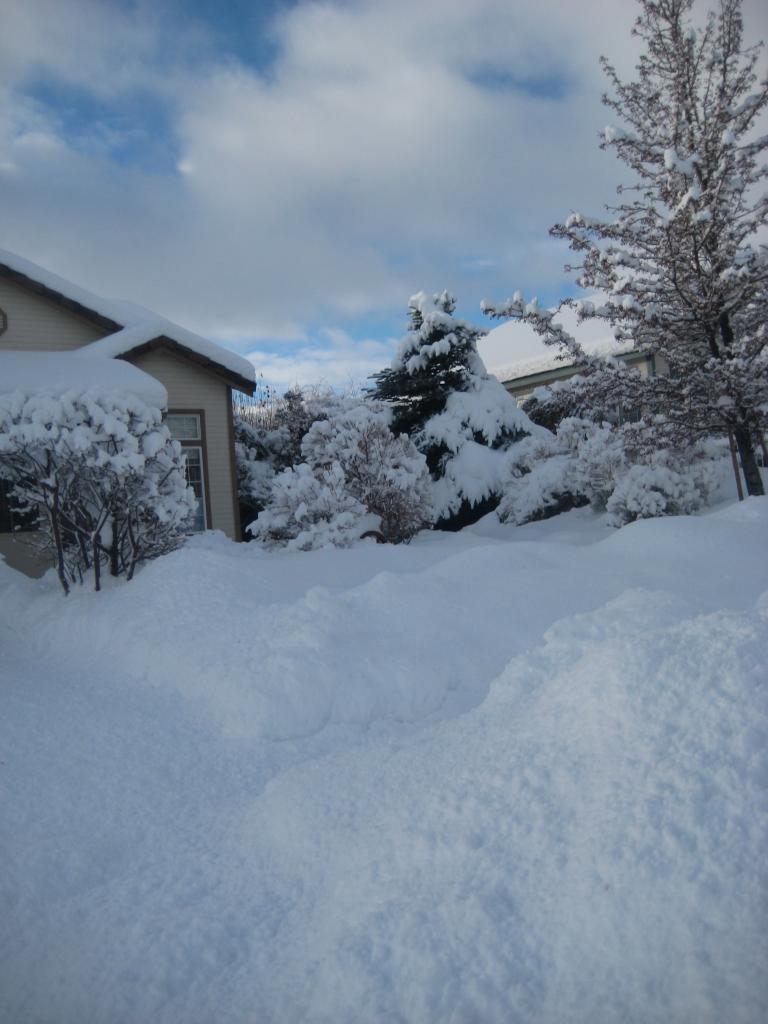 morningsnow 019.JPG