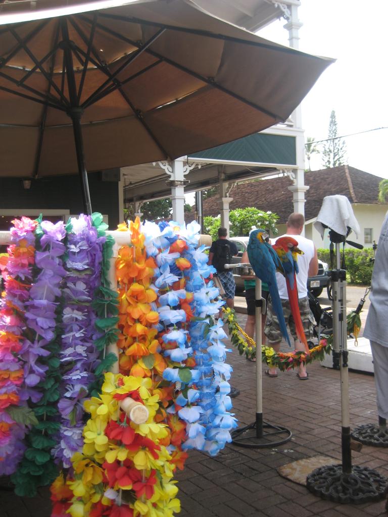 Hawaii 505.JPG
