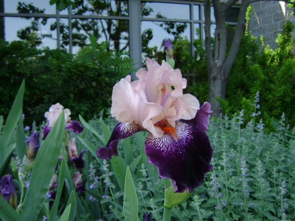 a-DSC04023.JPG