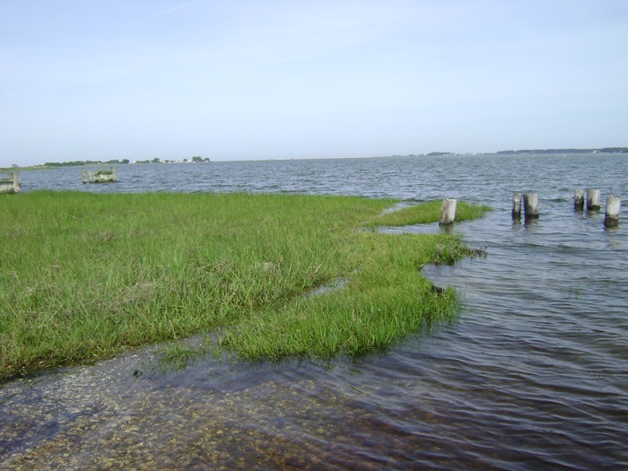 a-DSC04802.JPG