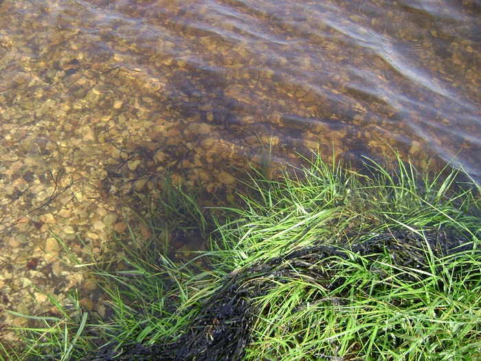 a-DSC04804.JPG