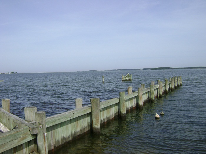 a-DSC04807.JPG