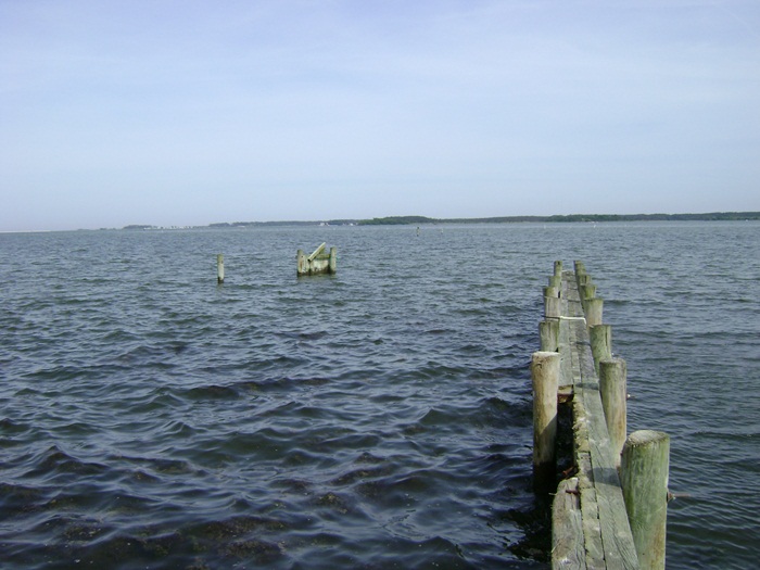 a-DSC04808.JPG